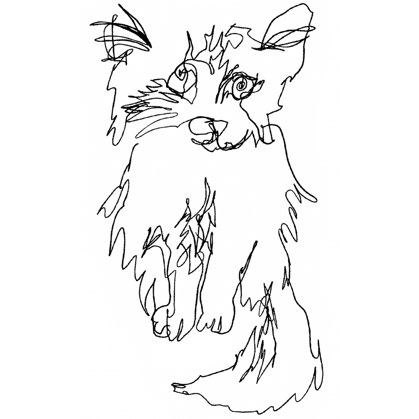 Blind Contour Drawings