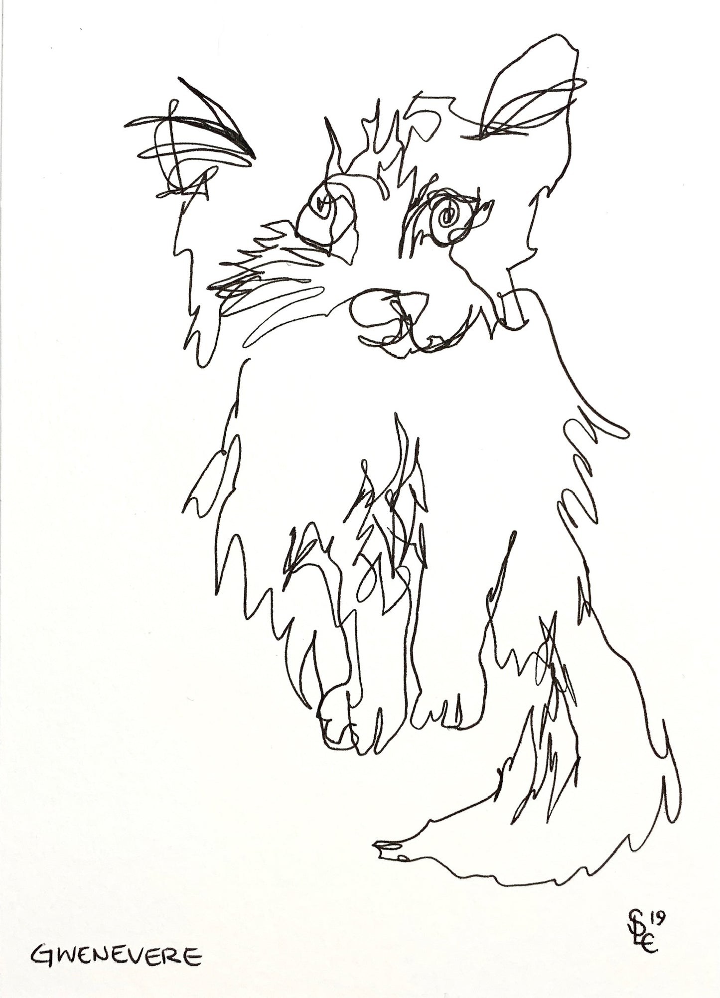 Blind Contour Drawings