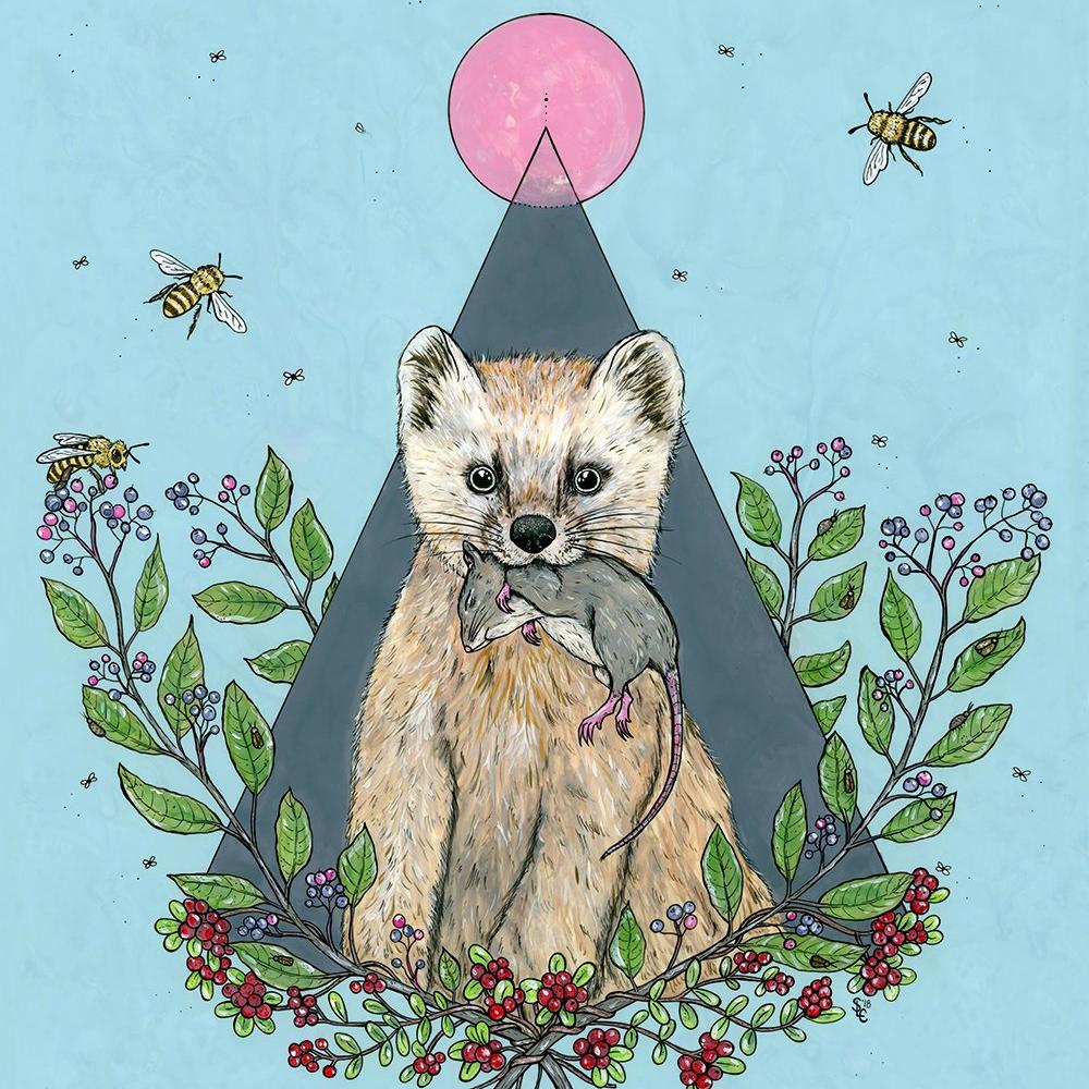 American Marten Painting
