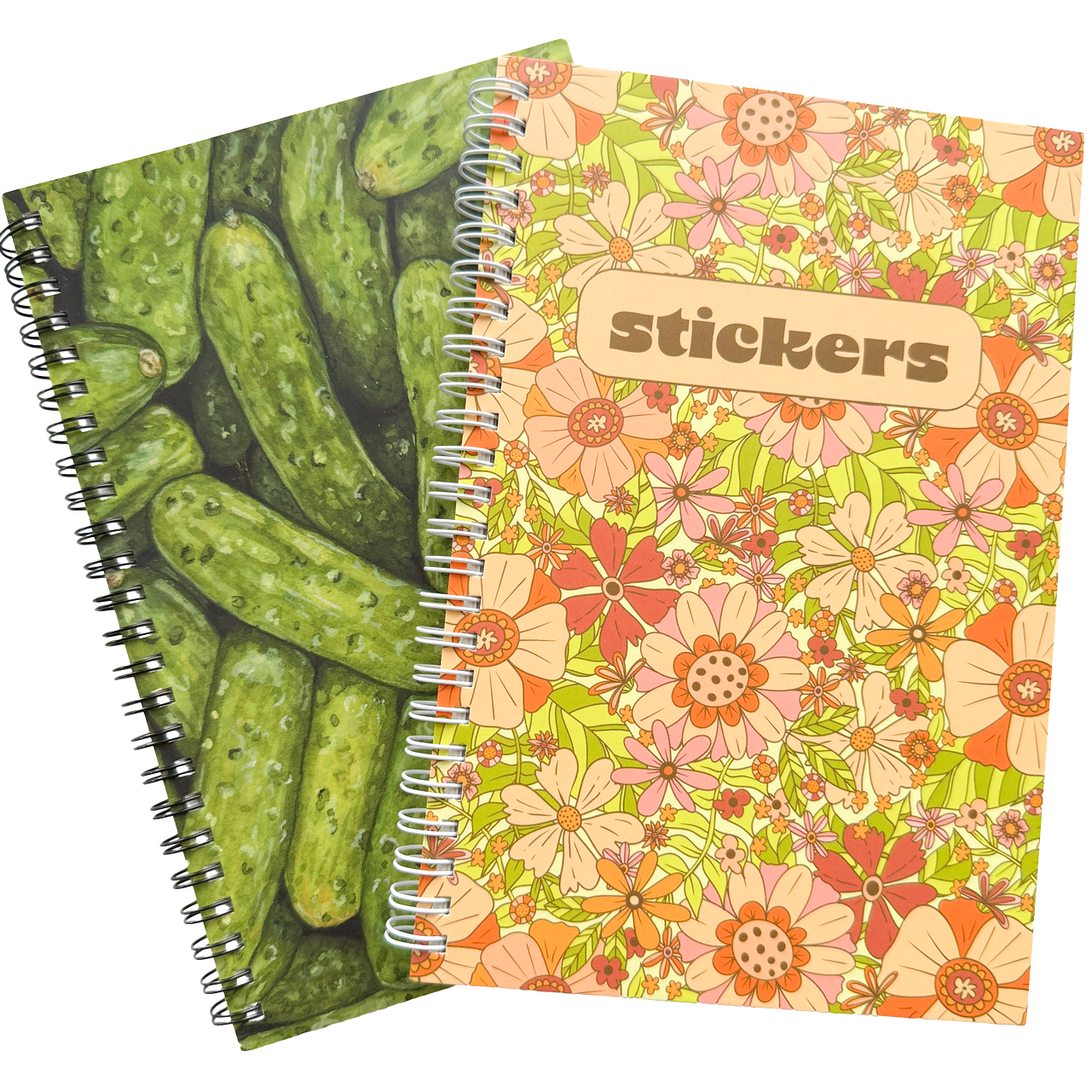 Reusable Sticker Albums