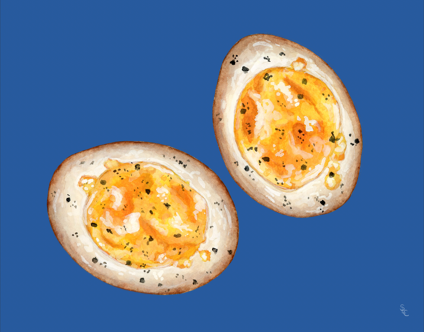 Food Illustration Prints