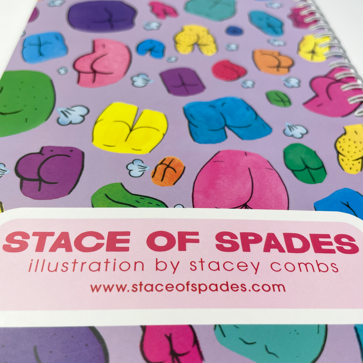 Reusable Sticker Albums