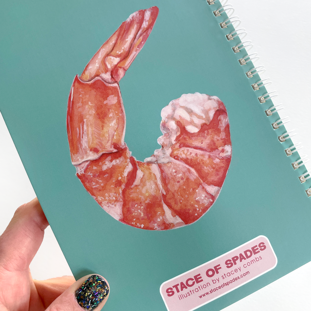 Reusable Sticker Albums