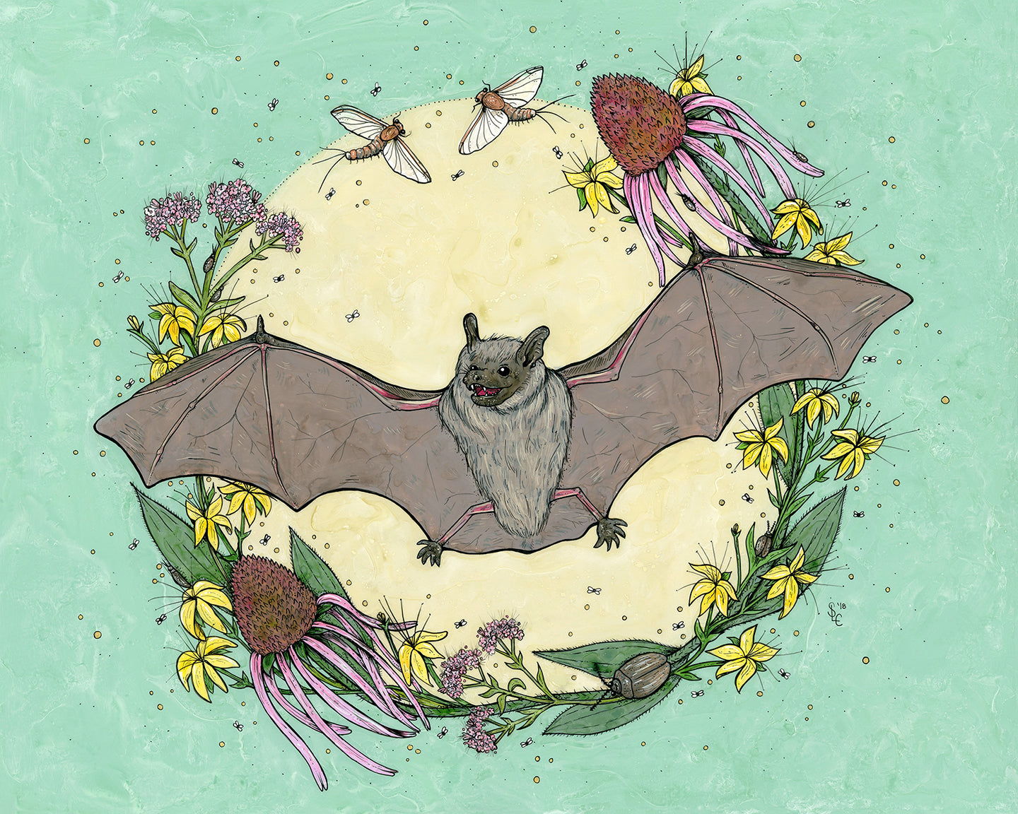 Big Brown Bat Print